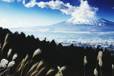 Scenic view of mountain range