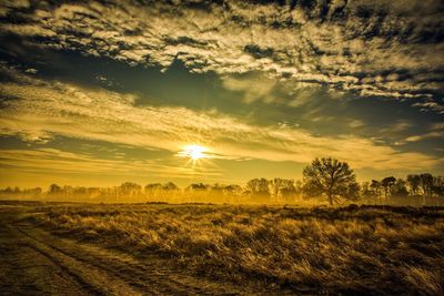 Scenic view of wheat field against sky at sunset