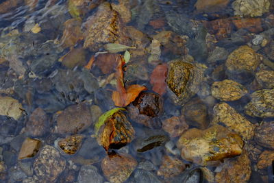 Full frame shot of rocks in water
