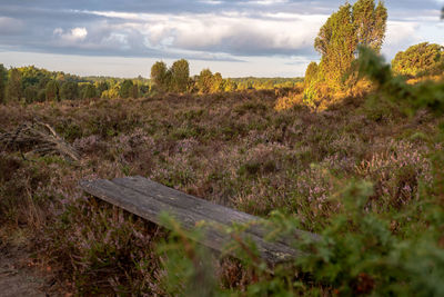 Scenic view of land against sky