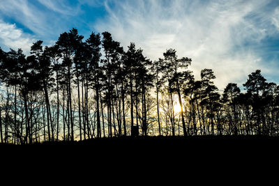 Silhouette of trees against sky at sunset