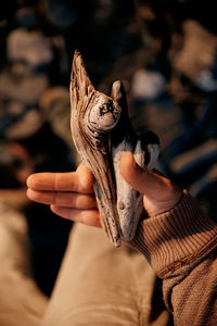 Close-up of person holding hand