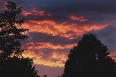 Low angle view of silhouette trees against sky at sunset