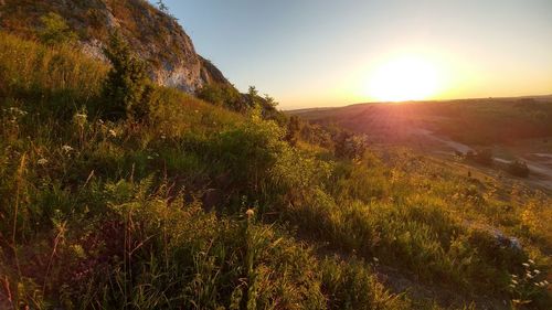 Scenic view of landscape against sky during sunset