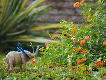 Elephant kids toys made from fragrant root placed above the grass looking to colorful flowers