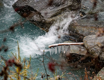 Man swimming in sea