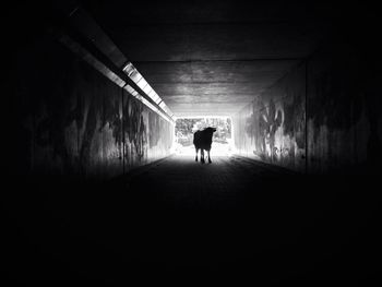 Woman walking in tunnel