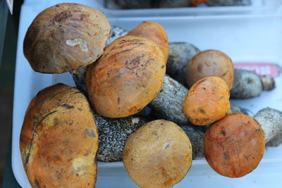 Vegetables in the market