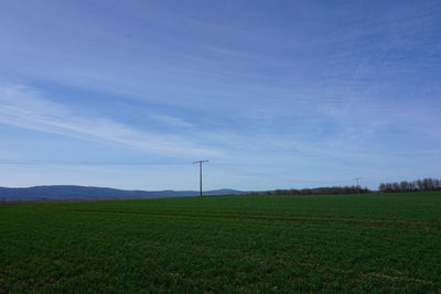 Scenic view of agricultural field against blue sky