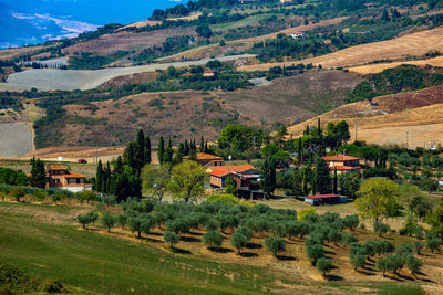 High angle view of trees and houses on field