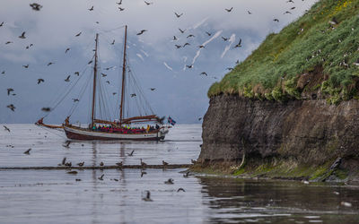 Puffin watching masted ship haukur glides across calm waters tourists enjoy the stunning spectacle