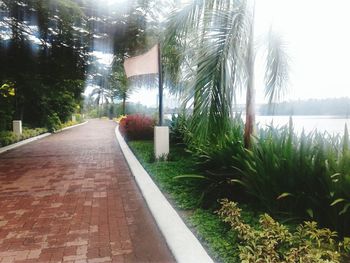 View of trees along calm lake