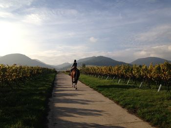 Rear view of teenage girl horseback riding on road against sky