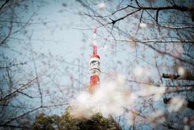 Low angle view of bare trees and buildings against sky