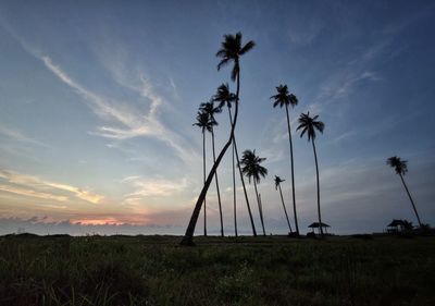 Silhouette palm trees on field against sky at sunset