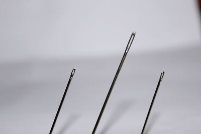 Close-up of needles