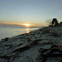 Scenic view of sea at sunset