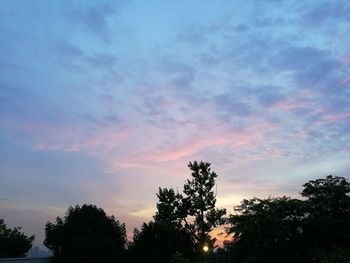 Silhouette trees at sunset