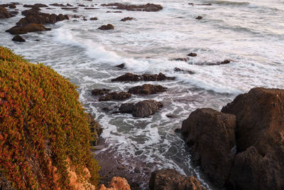 Scenic view of sea shore