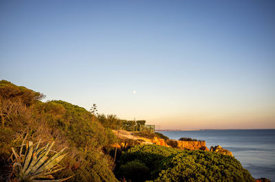 Scenic view of sea against clear blue sky