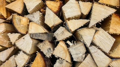 Stack of logs in forest