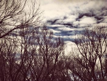 Low angle view of bare trees against cloudy sky