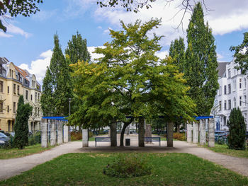 Trees and plants in park against buildings in city