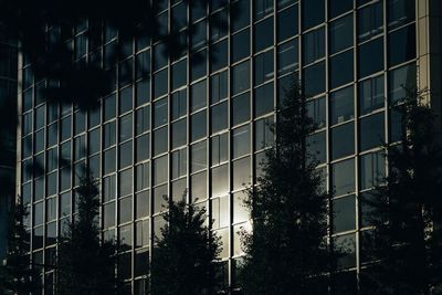 Low angle view of modern building