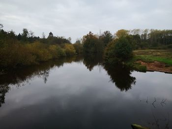 Reflection of trees in lake against sky