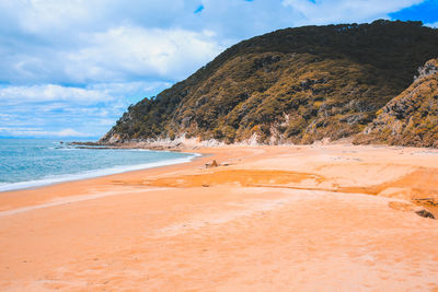 Scenic view of beach against sky