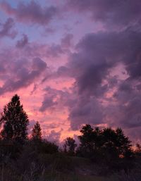 Silhouette trees against sky during sunset