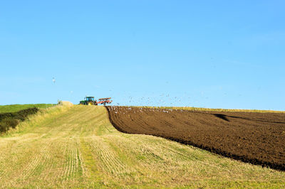 Scenic view of agricultural field against clear sky