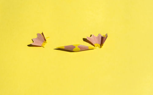 Close-up of yellow leaves over white background