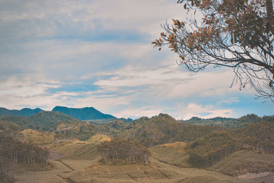 Scenic view of landscape and mountains against sky