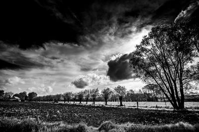 Scenic view of field against sky