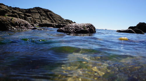 Scenic view of sea against clear sky