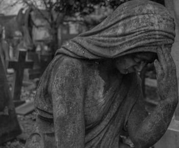 Close-up of plant against white background