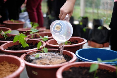 Close-up of food served on table