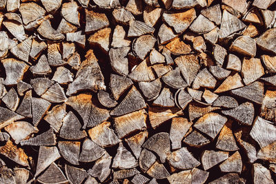 Full frame shot of logs in forest