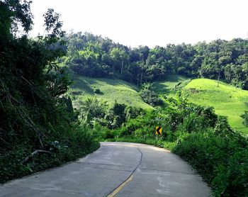 Road amidst trees against sky