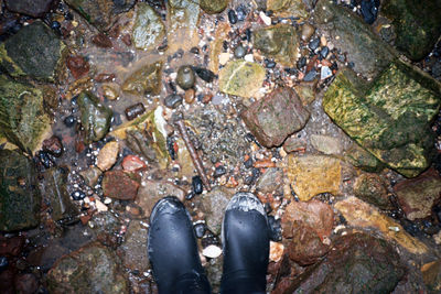 Low section of man standing in water