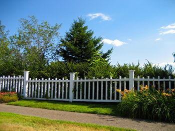 Trees and plants growing by fence against sky