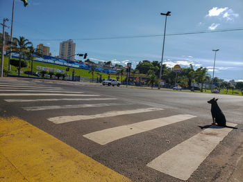 Man crossing road against sky