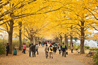 People amidst autumn trees on footpath at park