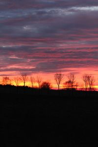 Silhouette bare trees on field against orange sky