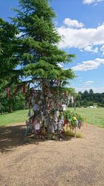 Trees on field against sky