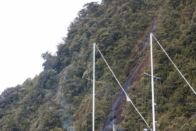Low angle view of trees against sky