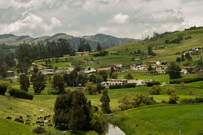 Scenic view of agricultural field against sky