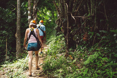 Rear view of men walking in forest