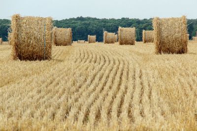 Hay bales on field against sky